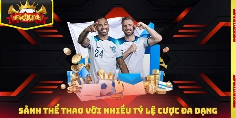 Sảnh thể thao với nhiều tỷ lệ cược đa dạng và hấp dẫn