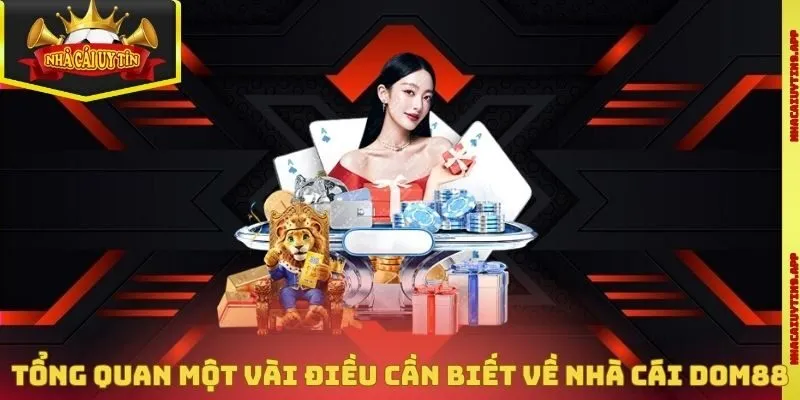 Tổng quan một vài điều cần biết về nhà cái Dom88