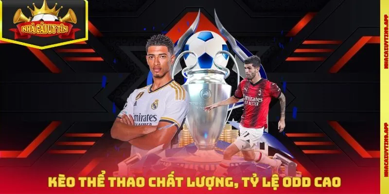 Kèo thể thao chất lượng, tỷ lệ odd cao