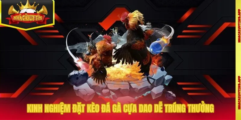 Kinh nghiệm đặt kèo đá gà cựa dao dễ trúng thưởng