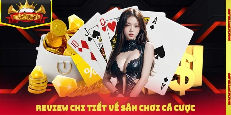 Review chi tiết về sân chơi cá cược và giải trí online