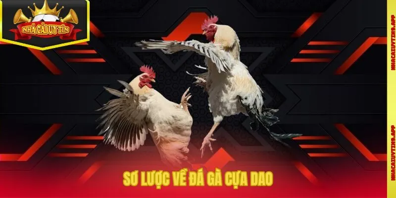Sơ lược về đá gà cựa dao