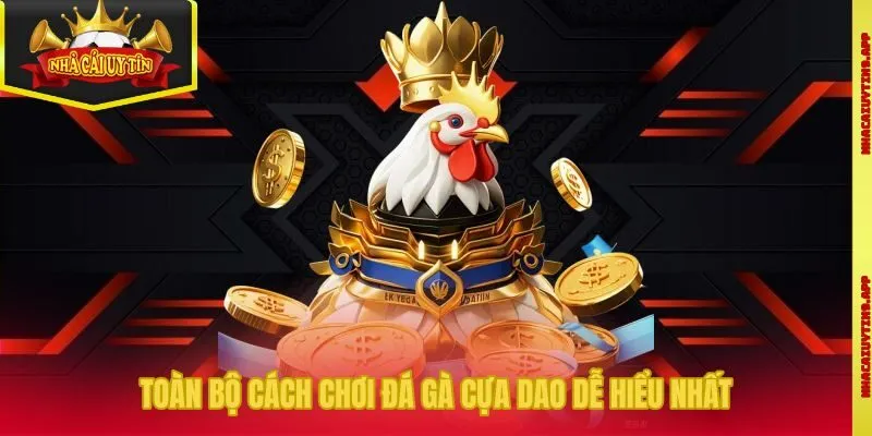 Toàn bộ cách chơi đá gà cựa dao dễ hiểu nhất