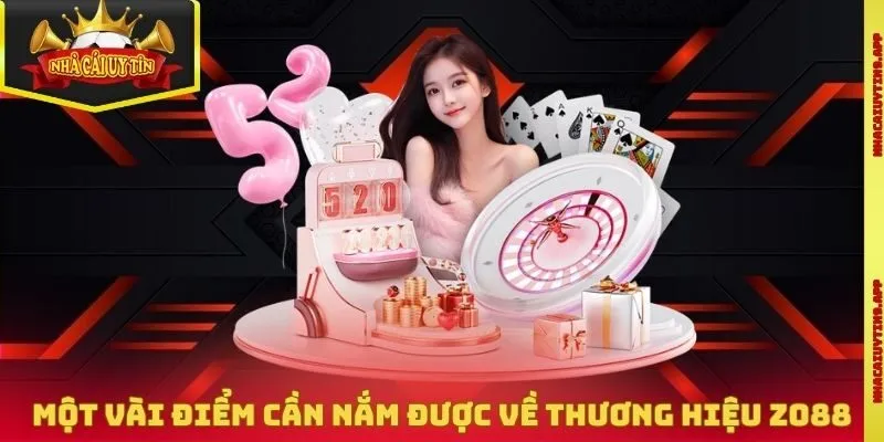 Một vài điểm cần nắm được về thương hiệu Zo88